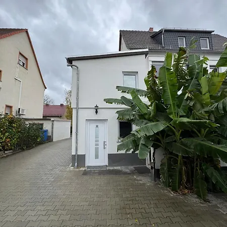 Asiatisches 3* Braunsbedra