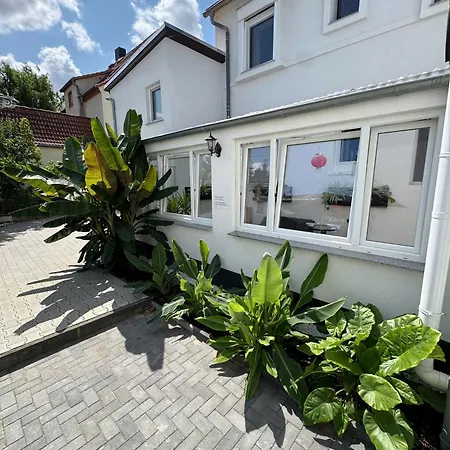 Asiatisches 3* Braunsbedra