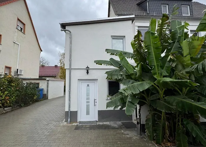 Asiatisches 3* Braunsbedra