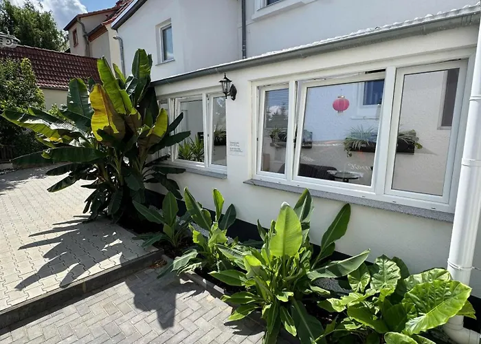 Asiatisches 3* Braunsbedra